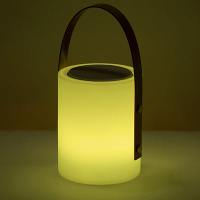 Twilight Speaker Lamp